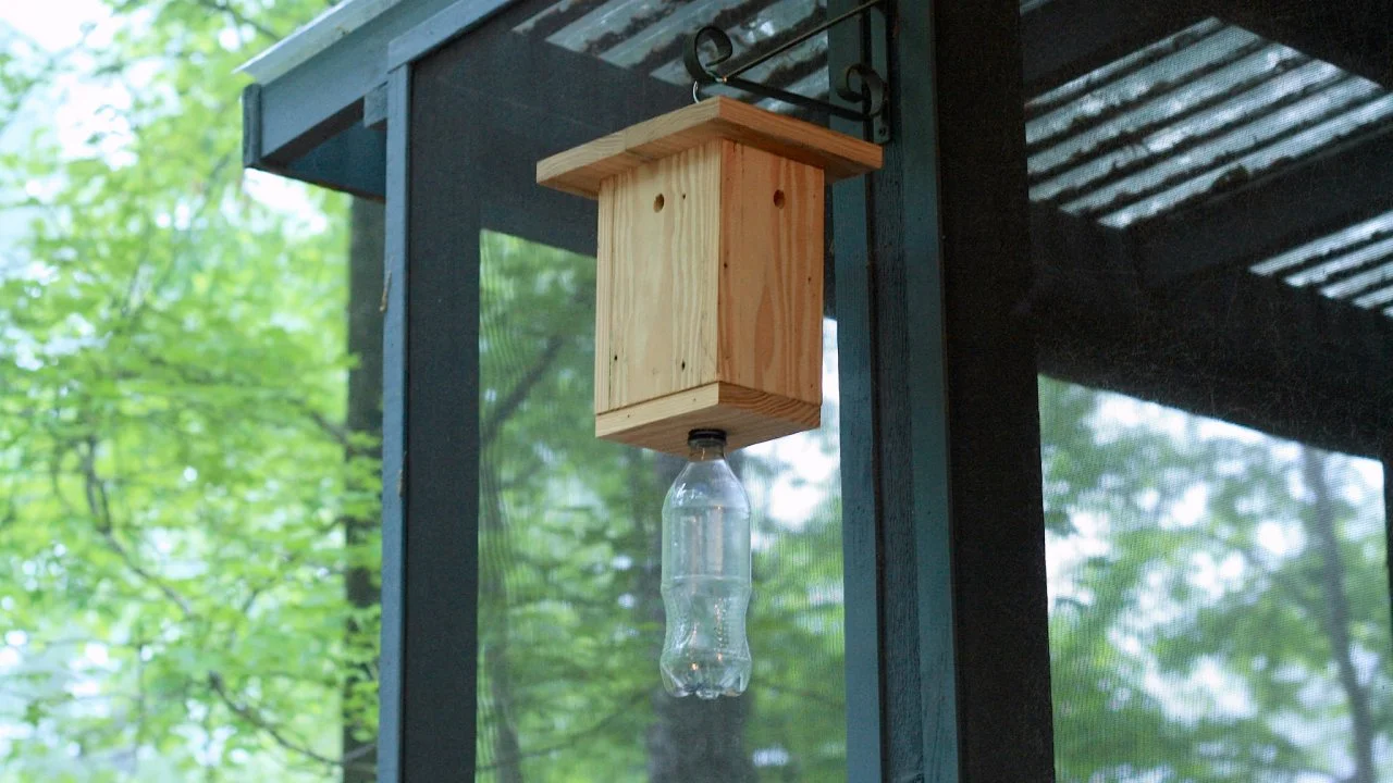 Carpenter bee trap Carpenter bee trap with citrus solution